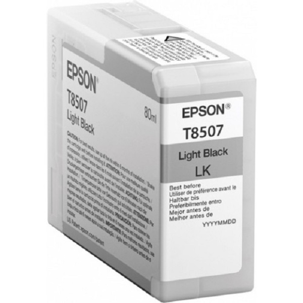 EPSON C13T850700 Картридж для SC-P800 Light Black, 80 мл. (cons ink)