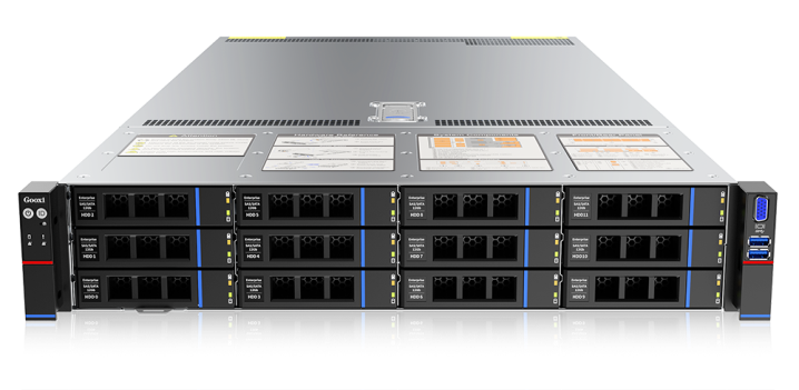 Серверная платформа/ Gooxi SL201-D12RE-G4 2u 12 bay platform with expander backplane, based on Intel Gen 4th; 2x 2.5" rear SAS/SATA; 2x 2.5" rear NVMe; 2*350W TDP 2xPCIe 4.0x16; 4xPCIe 4.0x8; 2x1300W psu RAIL kits; EU power cables
